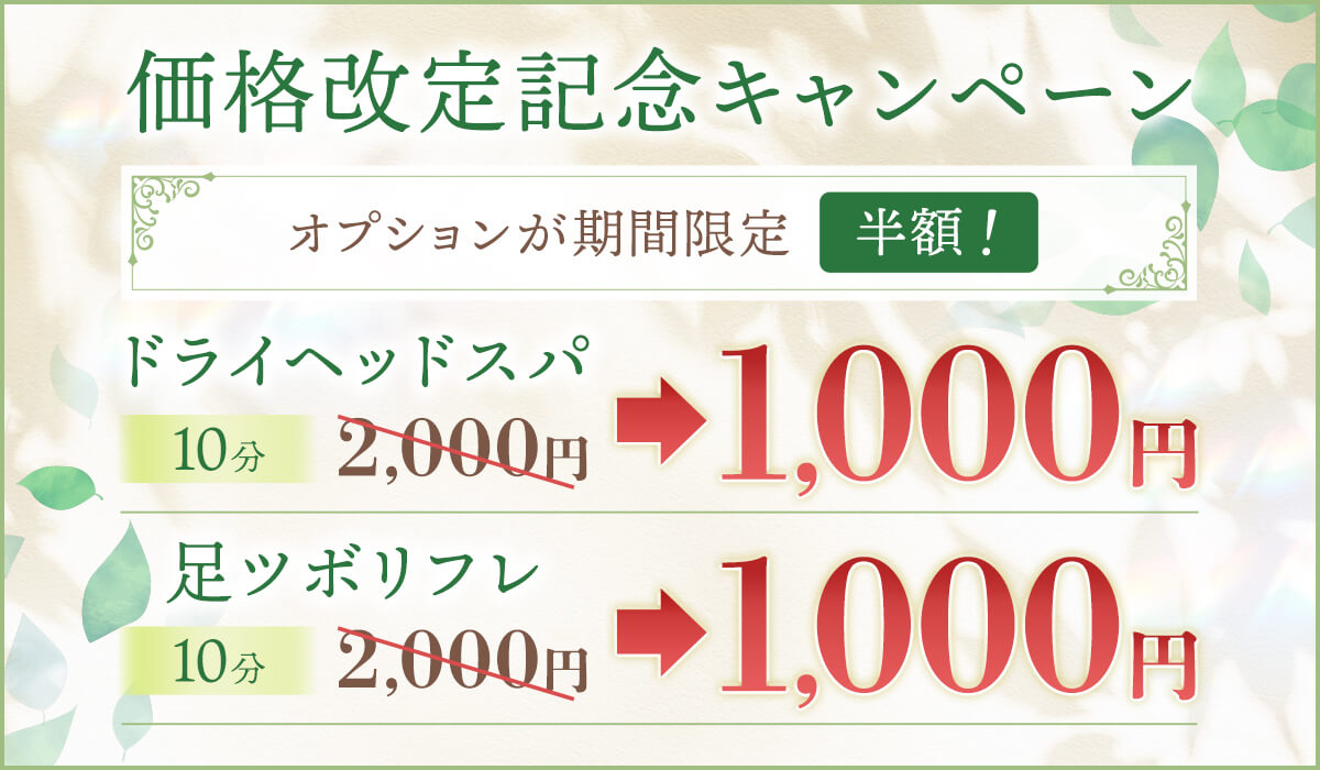 価格改定記念キャンペーン